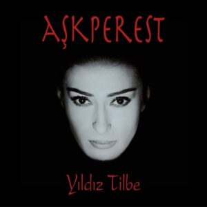 Yıldız Tilbe - Aşkperest (Plak) - Plak Vinyl plastinka