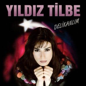 Yıldız Tilbe - Delikanlım (Plak) - Plak Vinyl plastinka